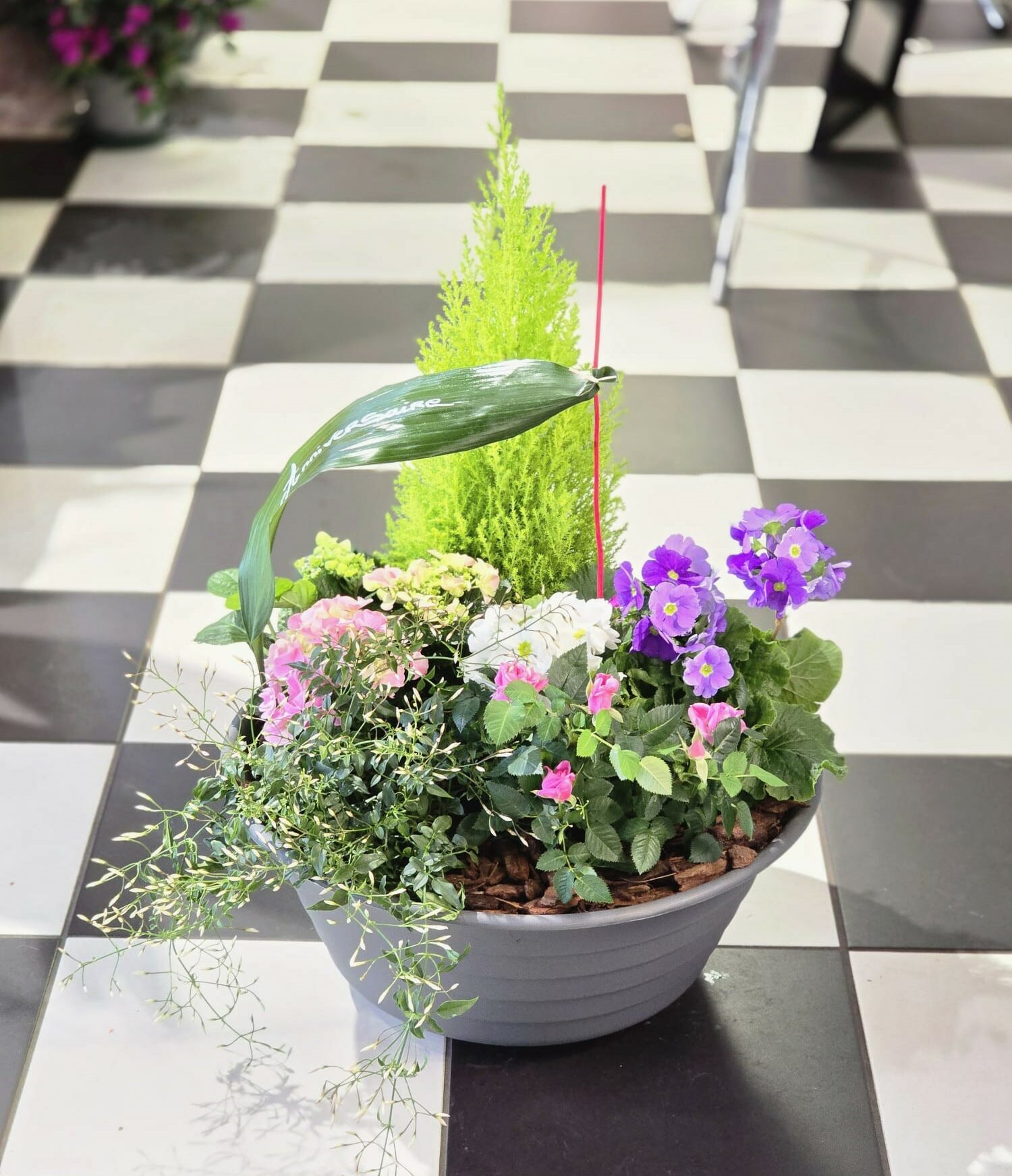 Coupe de plantes - Justine Fleurs